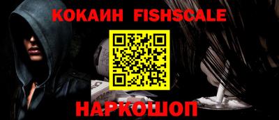 спиды Гатчина