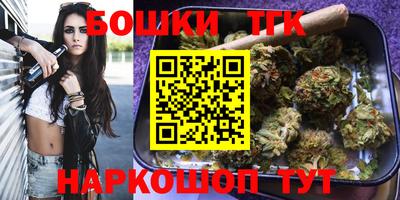 спиды Гатчина