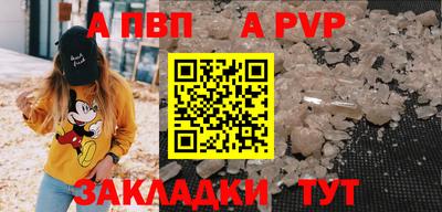 спиды Гатчина