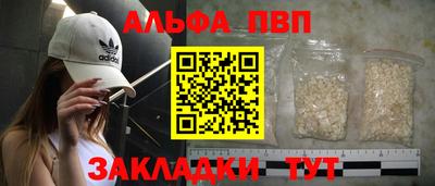 спиды Гатчина