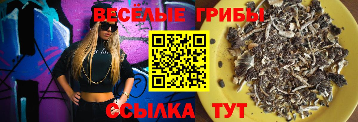 Псилоцибиновые грибы MAGIC MUSHROOMS  Вход с VPN  как найти   Гулькевичи 